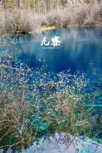 有声海报｜这座高贵典雅的印度神像怎么“来到”泉州？