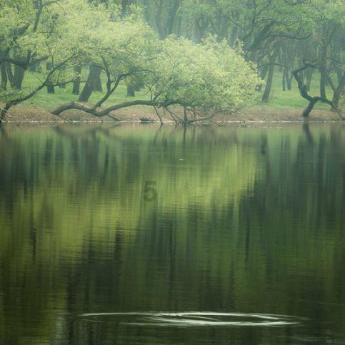 塞尔达：荒野之息